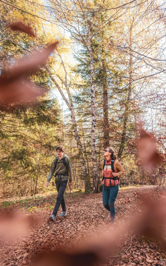 Couleurs d_Automne - Alpigraphie-105559.jpg