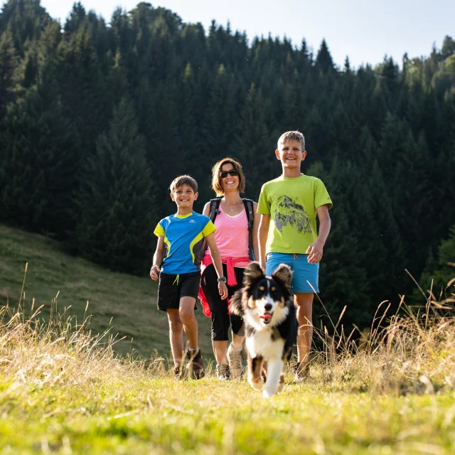 GCAT-2018_Copyright PVerticale-TNalet-3108.jpg