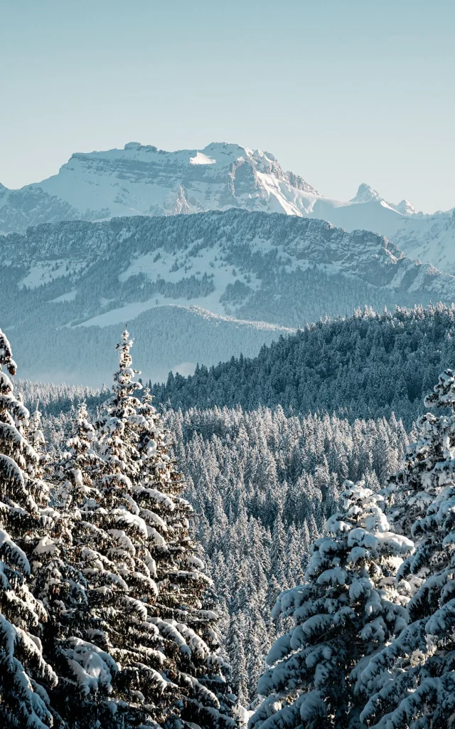 GCAT-Feclaz-Ski-Alpin_Copyright _Peignee-Verticale-0224.jpg