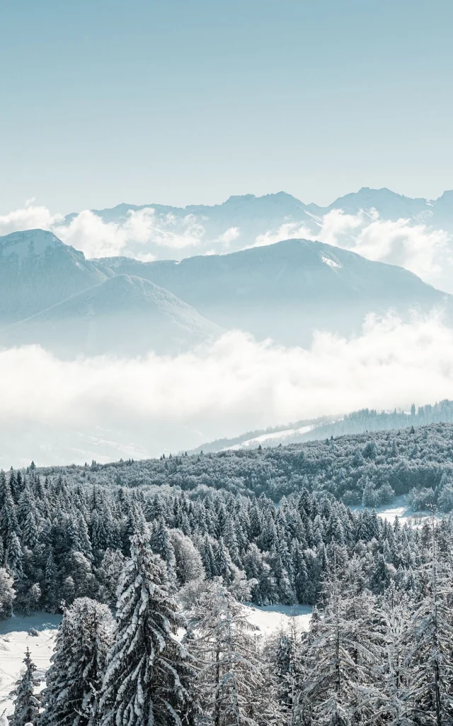 GCAT-Feclaz-Ski-Alpin_Copyright _Peignee-Verticale-0467.jpg