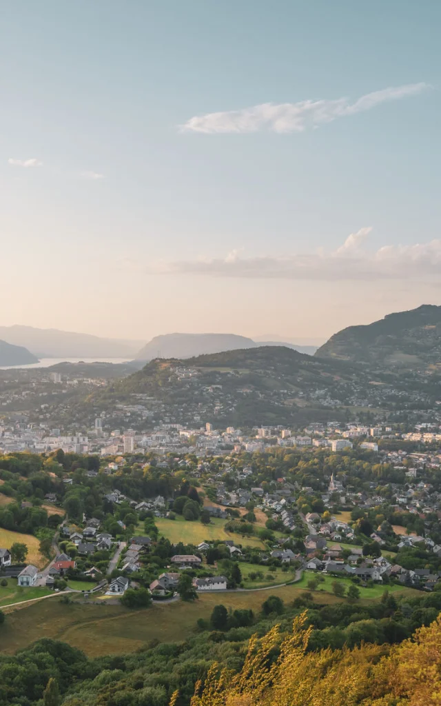 Buy Photos - Matthias