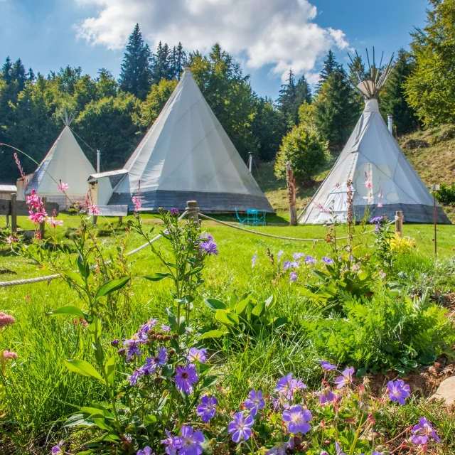 Village tipi credit C Haas -34.jpg