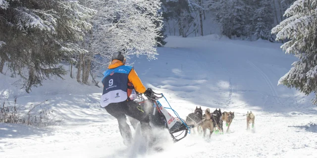 Francois Xavier Repellin 1757321801 1