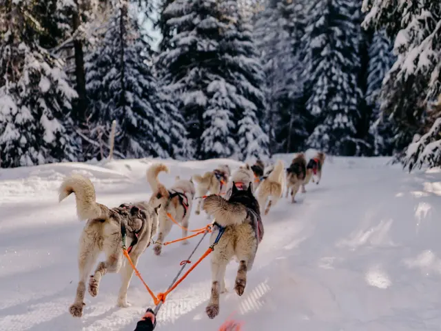 AIX RIVIERA DES ALPES - Ecole Mikia