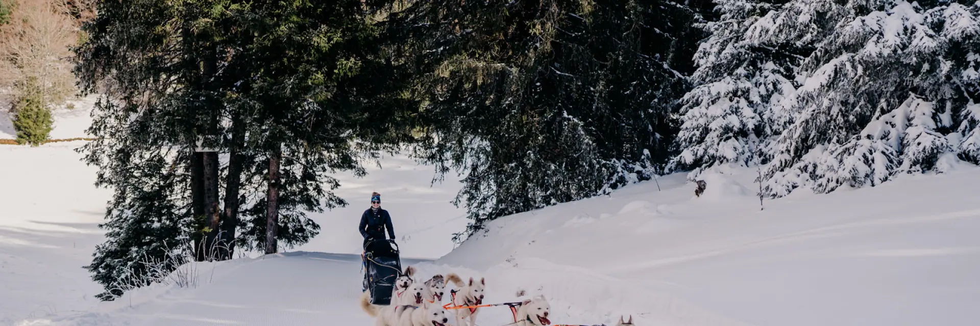 AIX RIVIERA DES ALPES - Ecole Mikia