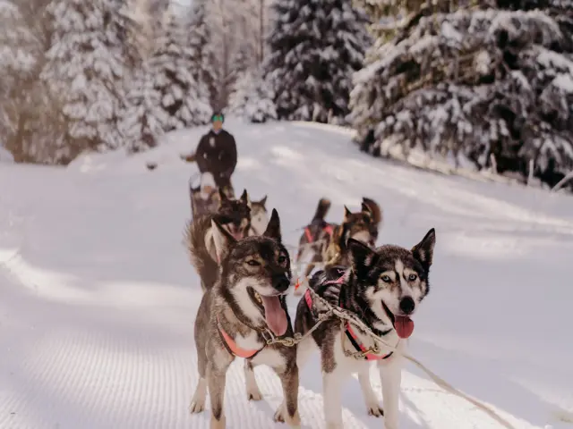AIX RIVIERA DES ALPES - Ecole Mikia