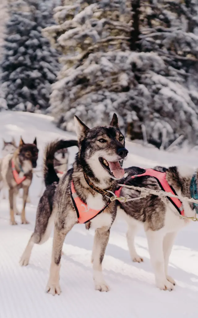 AIX RIVIERA DES ALPES - Ecole Mikia