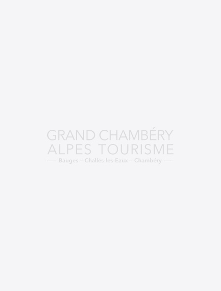Guided tour in french: Chambéry, l&#8217;incontournable