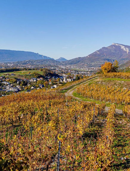 Challes les Eaux & the vineyards