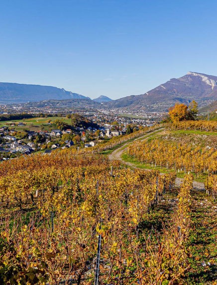 Challes-les-Eaux & i vigneti