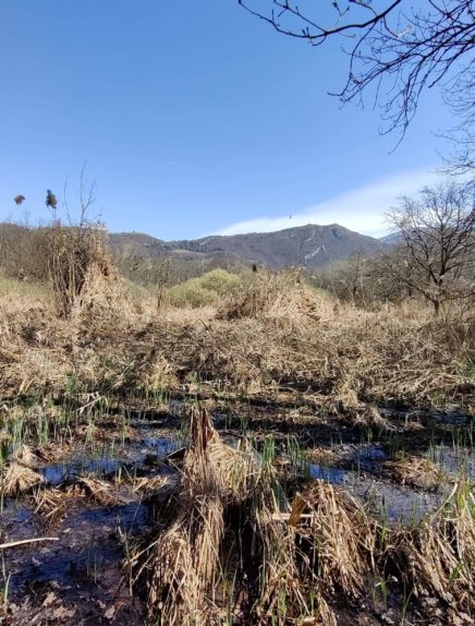 La boucle du marais des Chassettes