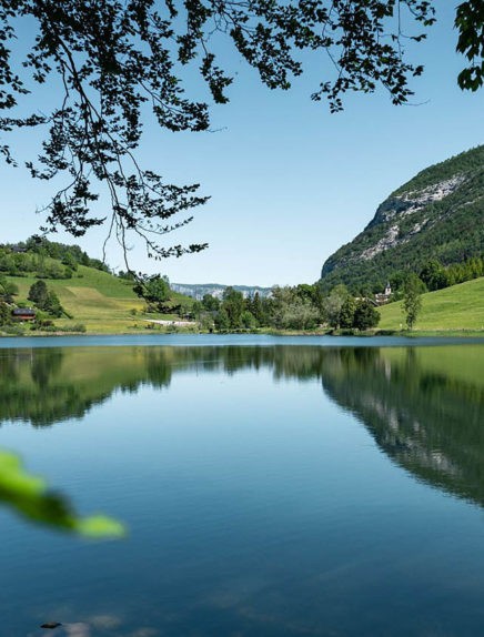 Kwetsbare natuurgebieden