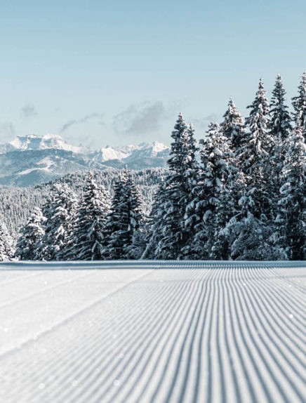 Skiën en wintersporten