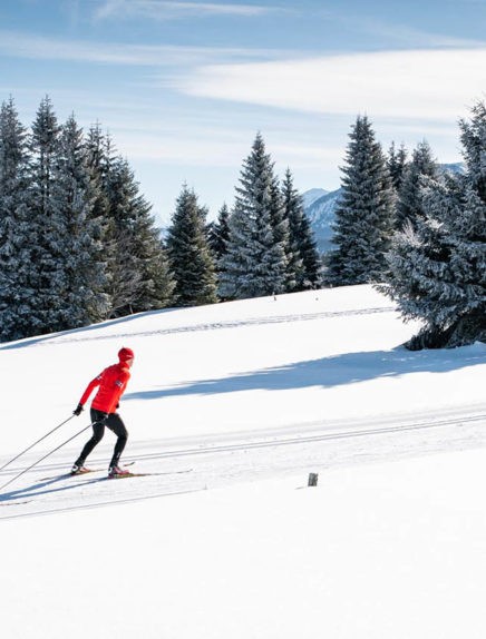 Nordic-skiën