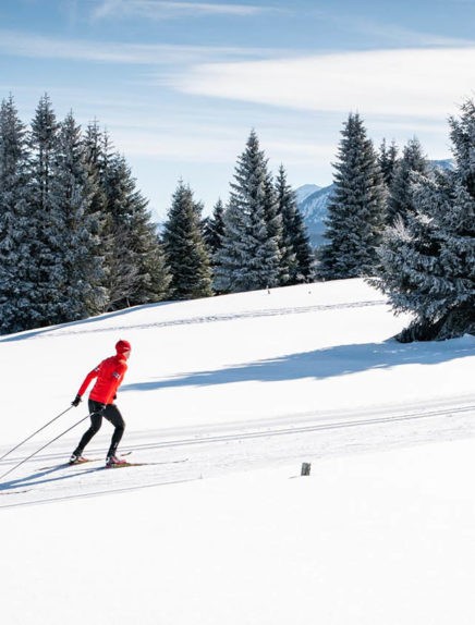 Nordic skiing