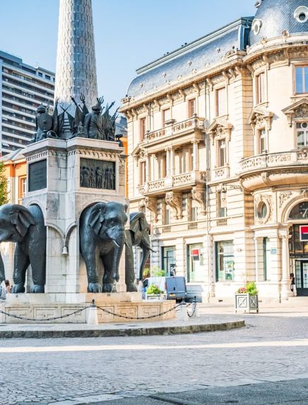 Promenade Confort : En suivant les éléphants