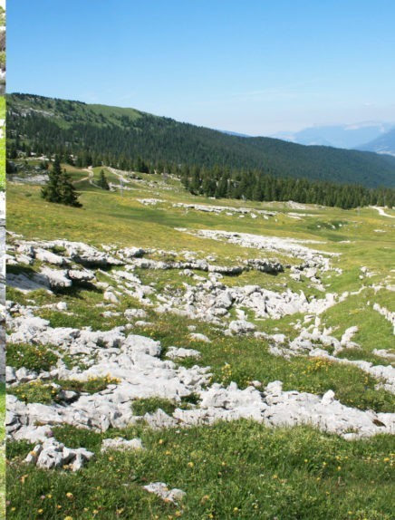 Sentier des Tannes et glacières