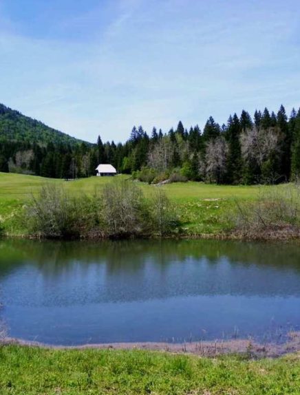 Etang du Mariet