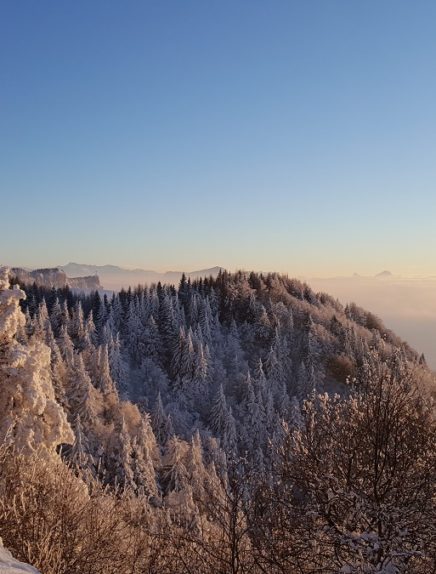 Snowshoeing treks : La croix du Nivolet