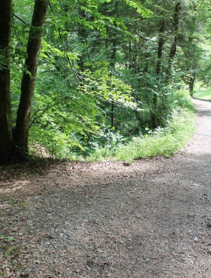 Boucle VTT de Lescheraines - Cascade du Pissieu