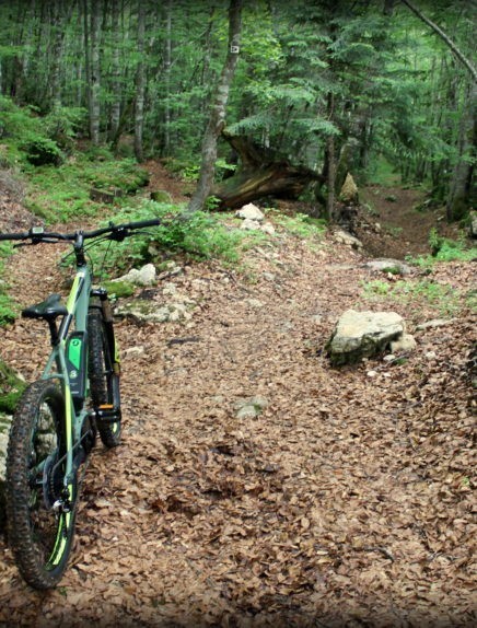 Piste VTT FFC noire 10 - La Féclaz