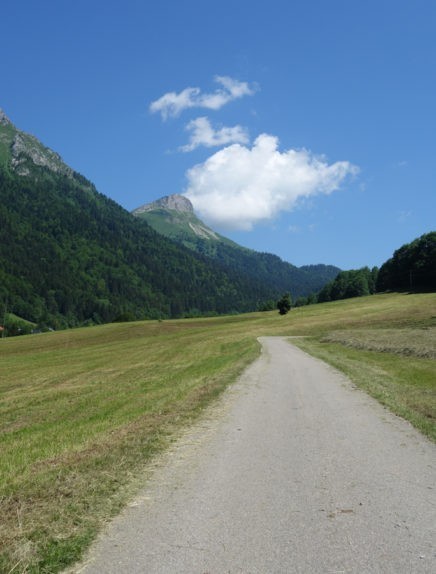 Circuit VTT AE - Col de la Buffaz