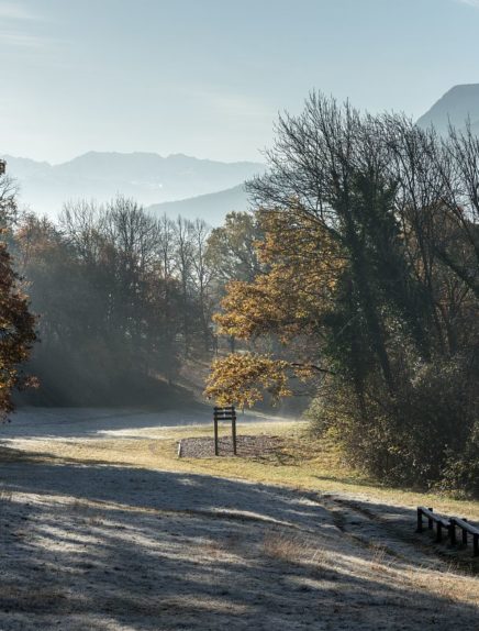 Forêt des Monts