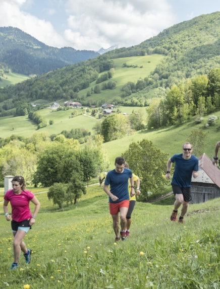 Trail running Bauges : High pastures lap