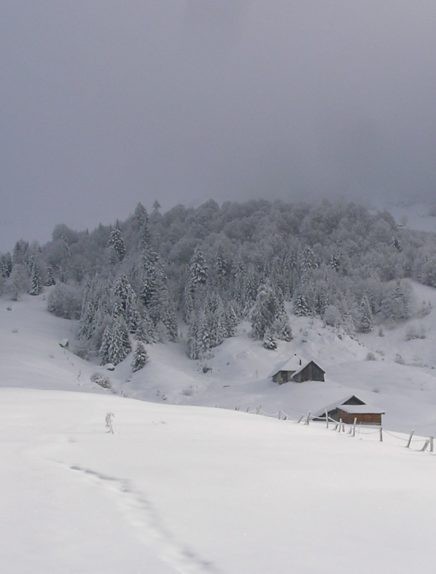 Escursione con le racchette: Le Golet de Doucy-Col de Bornette