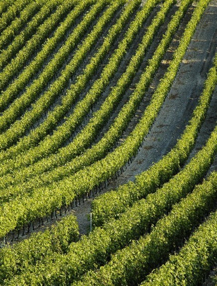 Sentier des Papillons