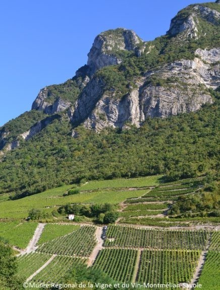 La Savoyarde