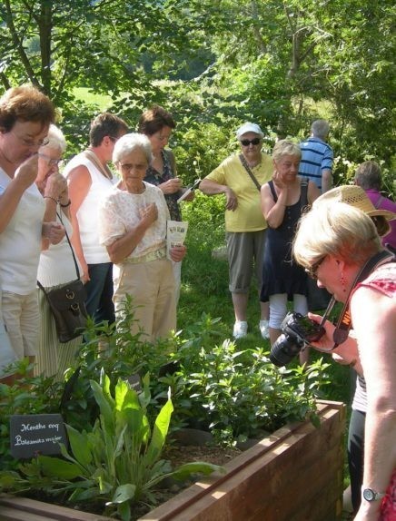 Découverte libre de l'Herbier de la Clappe