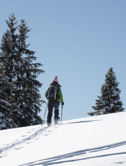 Sortie ski de randonnée - groupe