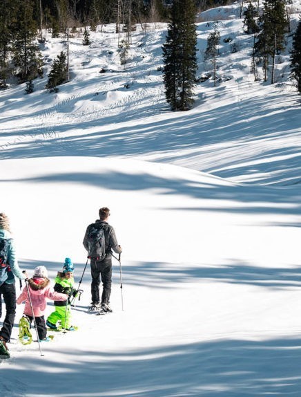 Accompagnateurs en montagne