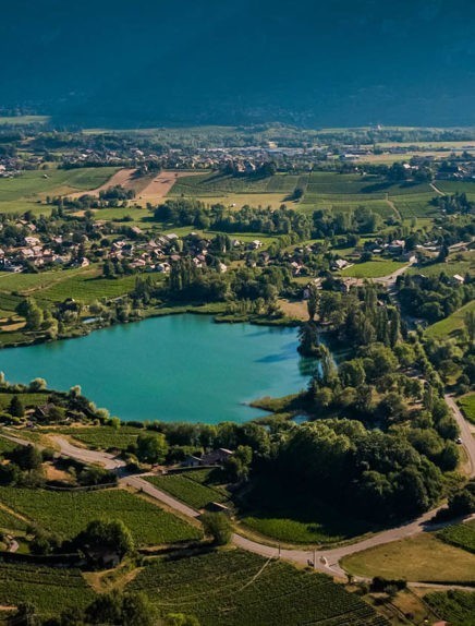 Vignobles et découvertes