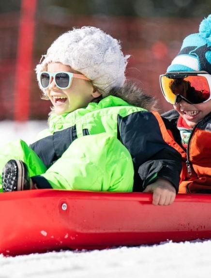 Sledging and other winter sports