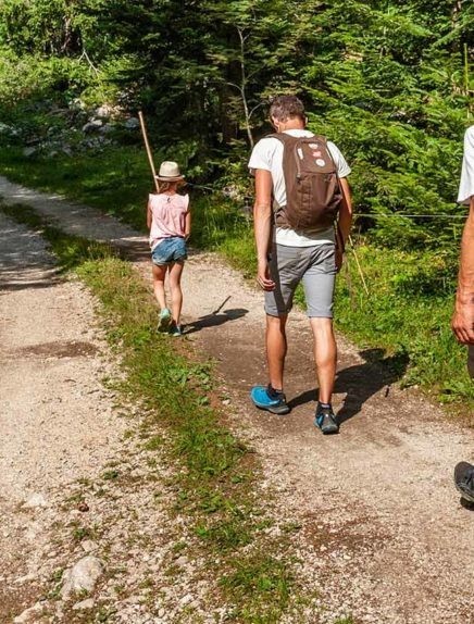 Verhuurders van wandelmateriaal