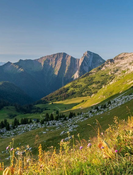 Locations de vacances en Cœur des Bauges