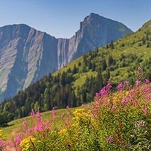 C. Haas - Grand Chambéry Alpes Tourisme