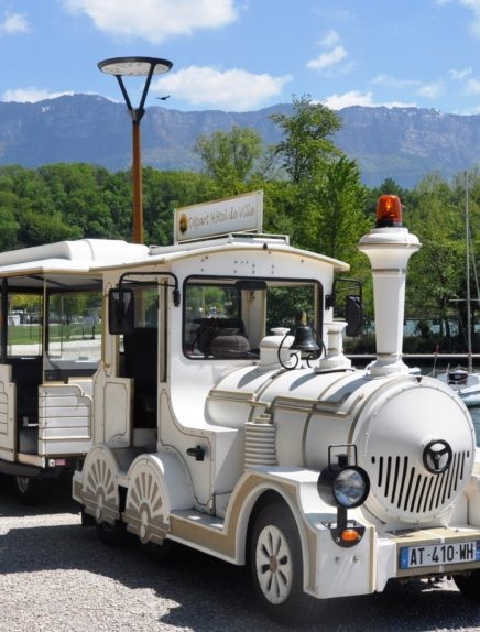 Little Tourist Train