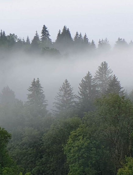 Profitez de Chambéry Montagnes par temps de pluie