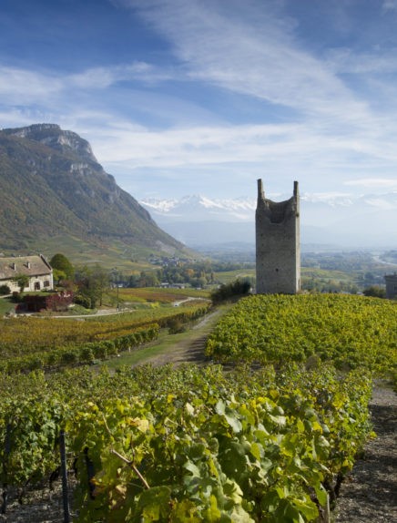 La Grappe d&rsquo;Or