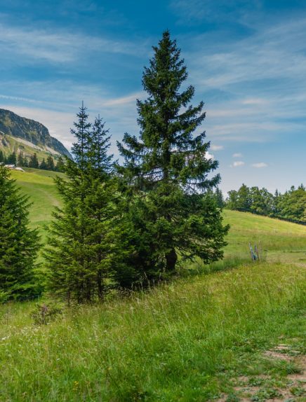 Locations de vacances aux Aillons-Margériaz