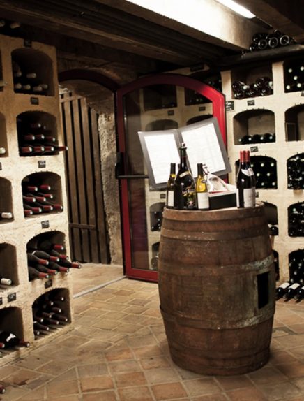 Visit and wine testing of the castle of the Comte de Challes