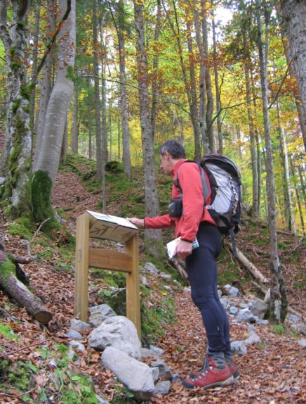 Sentier découverte du vallon de Bellevaux