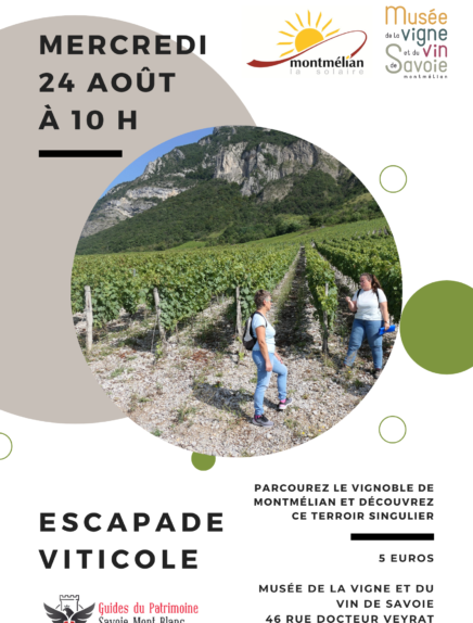 Escapade viticole
