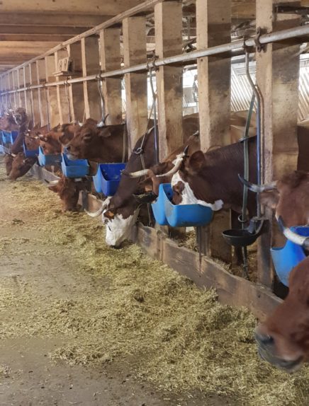 Visite de la Ferme de la Correrie