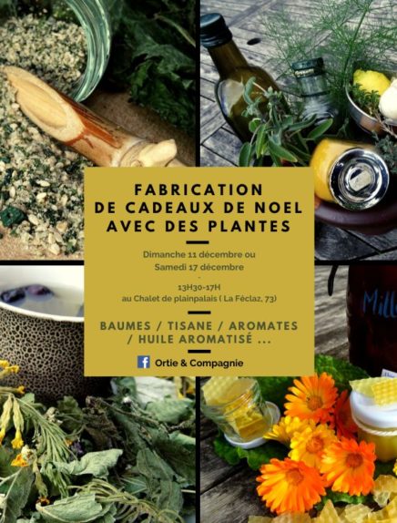 Atelier fabrication de cadeaux de Noël avec des plantes médicinales