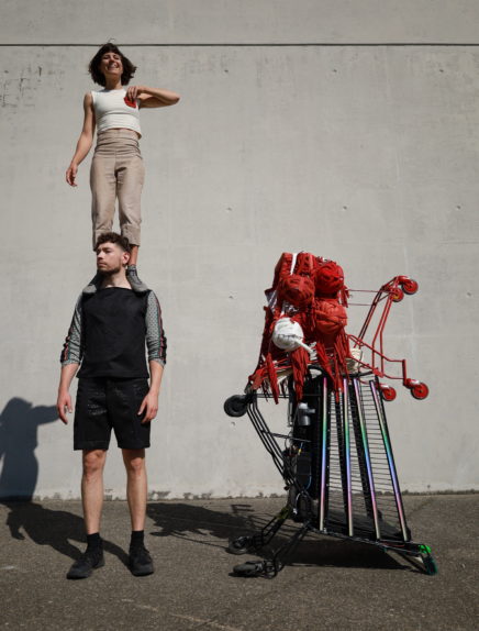 Spectacle : Caddie à Caddie - Compagnie Sonel