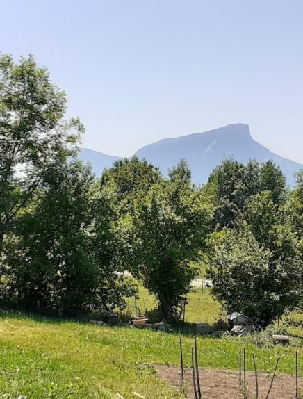 Gîte des Mésanges - Chery Elisabeth